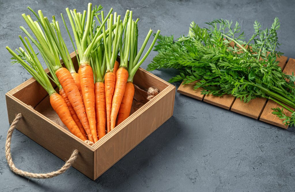 Very good Benefits Carrots Properly being And Magnificence Benefits